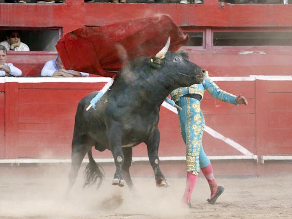 Abrochando la faena