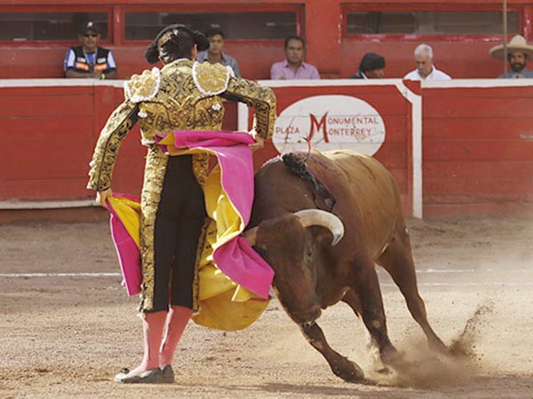 Ajustado en las chicuelinas