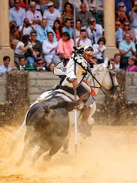 Suertes de garrocha