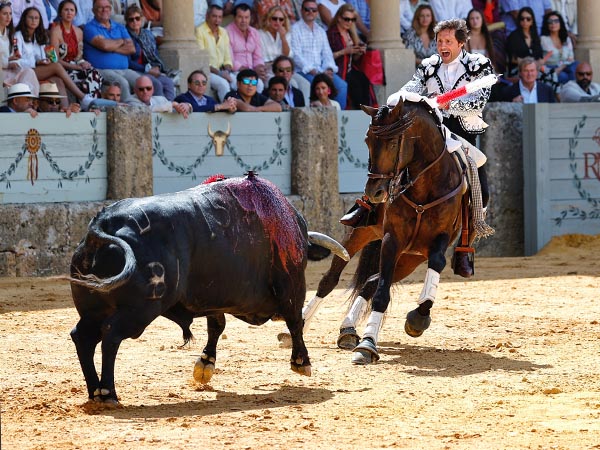 La montura como engao