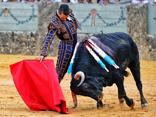 Humillado el negro