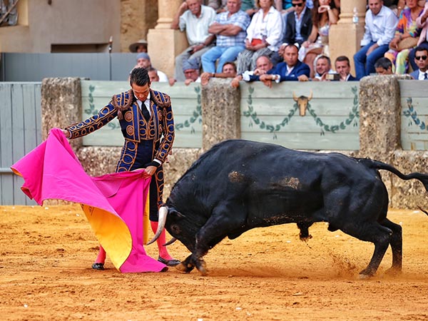 Lances de Manzanares