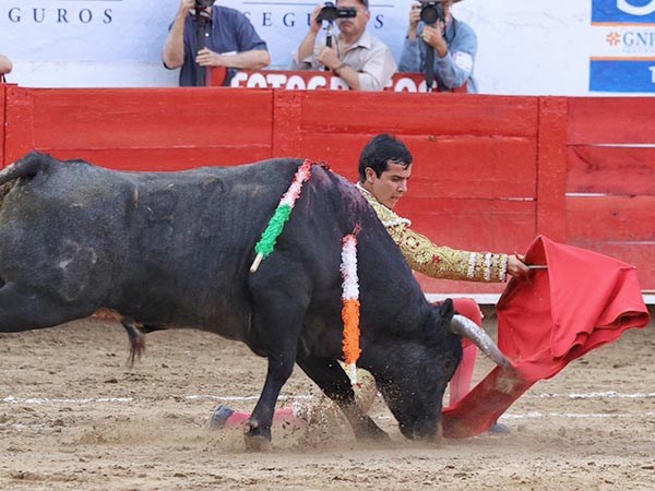 Rodilla en tierra