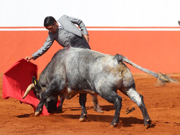 Un crdeno para Sergio