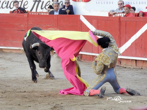 Recibo de hinojos