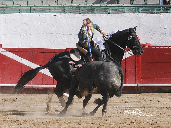 Javi abre la novillada