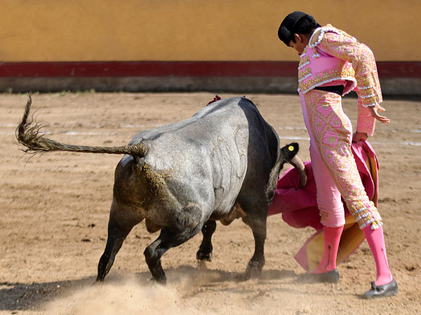 Remate capotero al cierraplaza