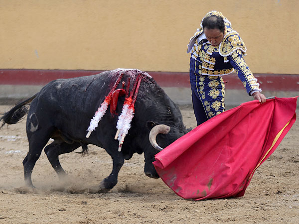 Torero de concepto