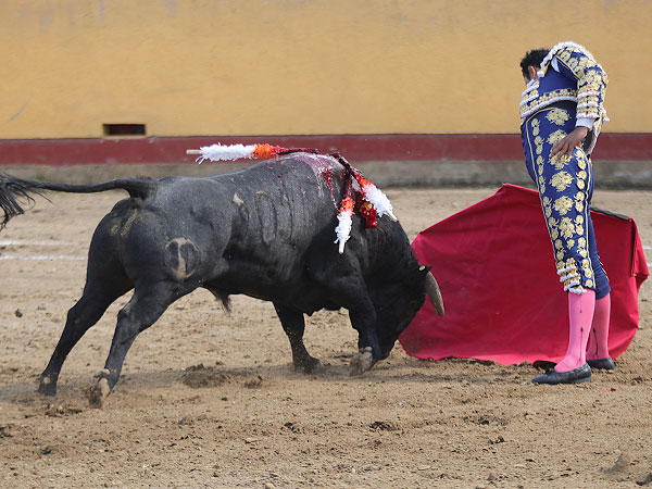 Torera en plenitud