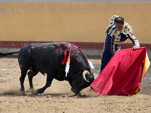 Acariciando la embestida