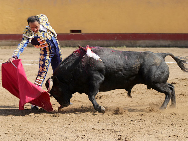 Calidad en la embestida