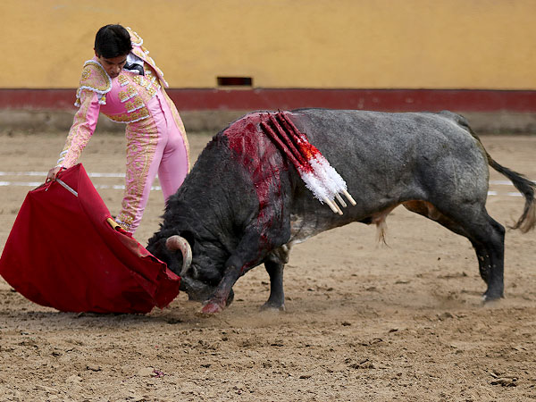 Apuntando el toreo bueno