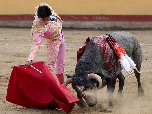 Matador Jos Alberto Ortega