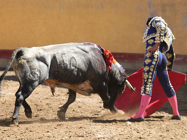 Metido en la muleta