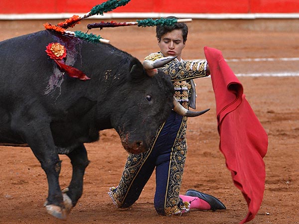 Tanda de hinojos