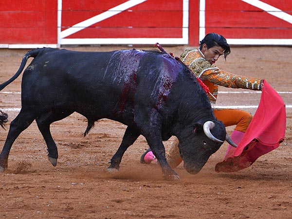 Lidia de una oreja