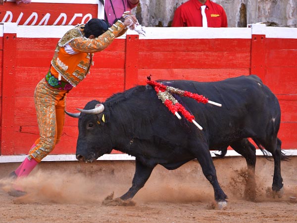 Cortas, pegado a tablas