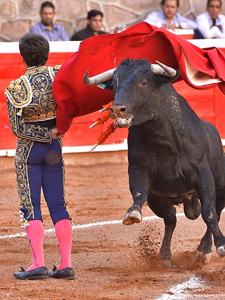 Preparando la suerte suprema