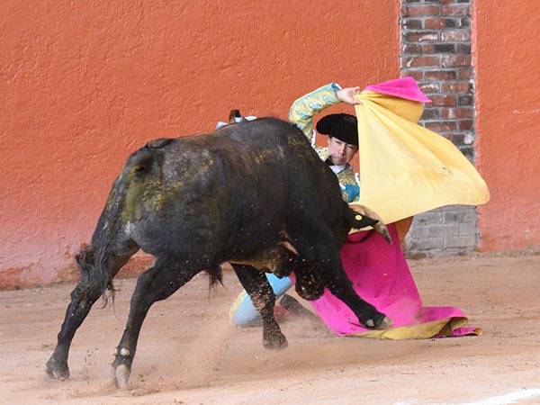 Larga de hinojos