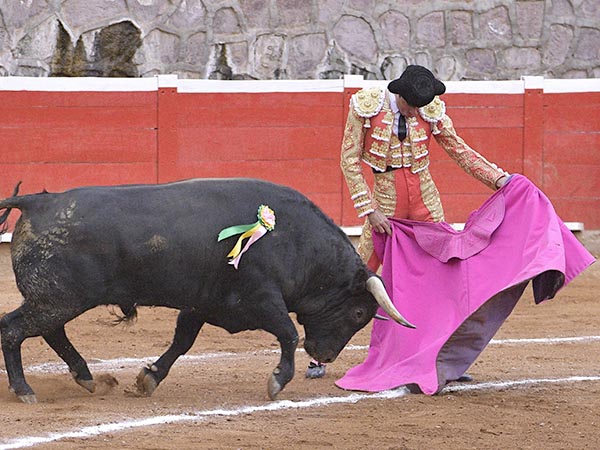 Vernicas sobre las rayas