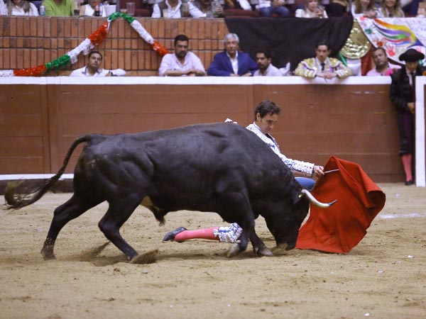 Doblones rodilla en tierra