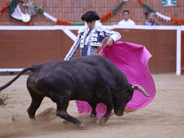 Las chicuelinas de Jos Mauricio