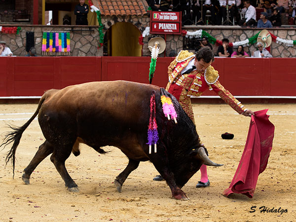 Aguantando la embestida