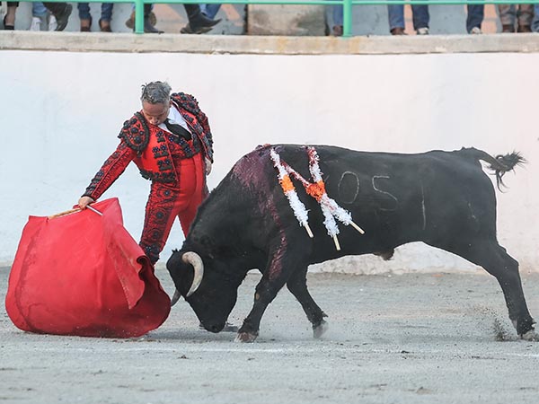 Plantado en la arena