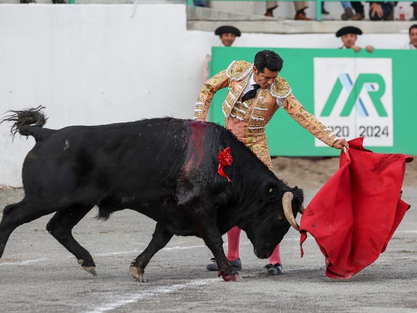 Templando al negro