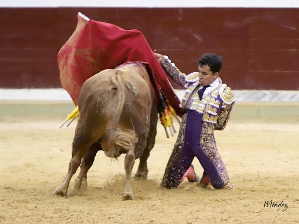 Adornos finales