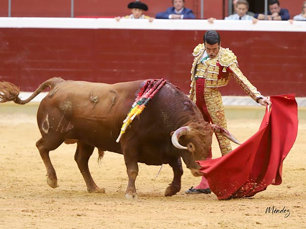 Reposo por el izaquierdo