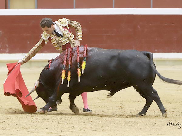 Sin tocar el engao