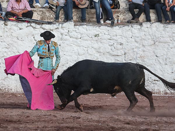 Saludo a la vernica