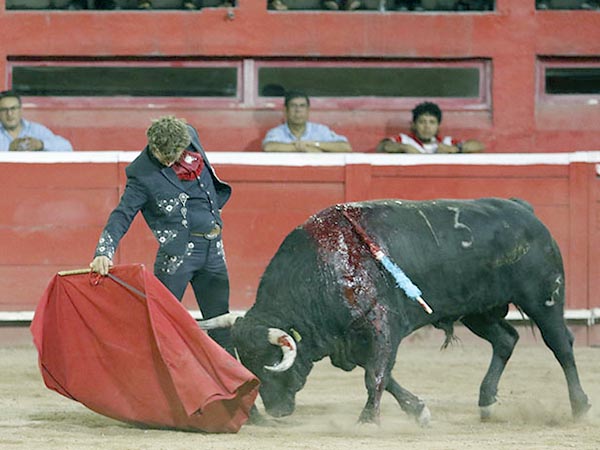 Plantado en la arena