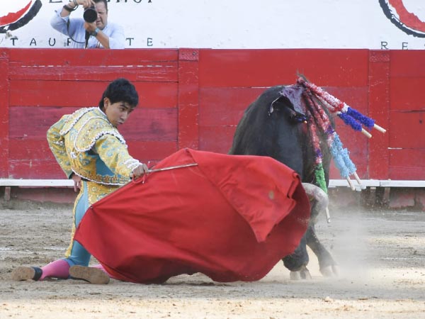 De hinojos