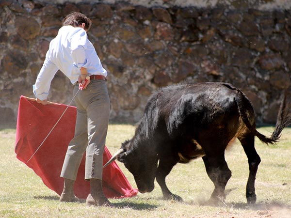 Asentado en los medios