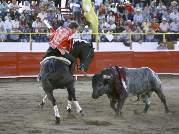 Toreando con el caballo