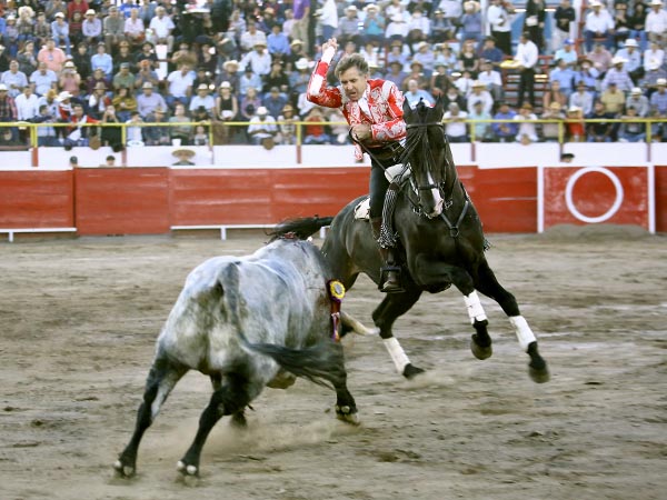 Banderilla larga en los medios