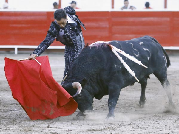 Templando al negro