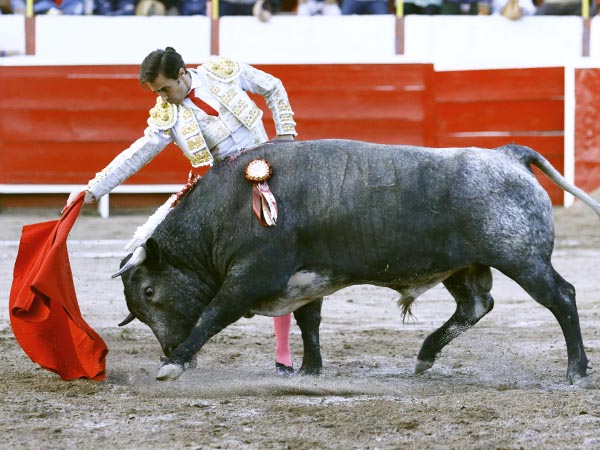 El derecho del salpicado