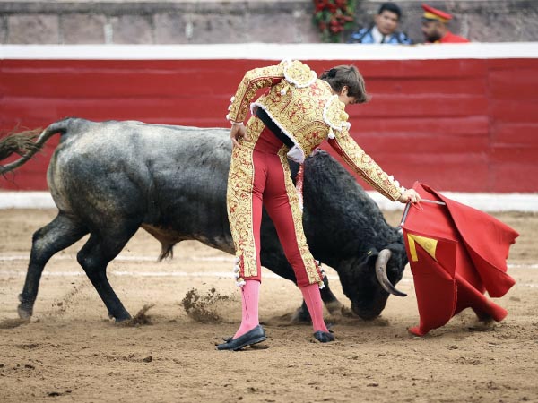 Lucida faena del lagunero