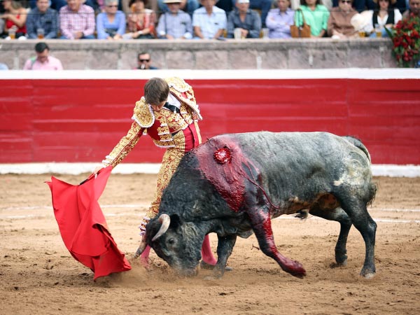 Los belfos en la arena