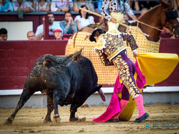 Dejndolo al caballo