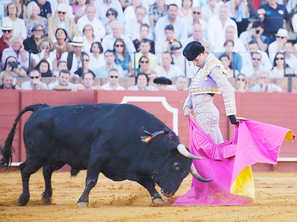 Talavante, al reencuentro del sitio