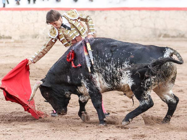 El derecho del burraco