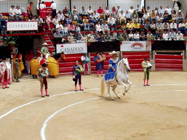 Gran ambiente de toros