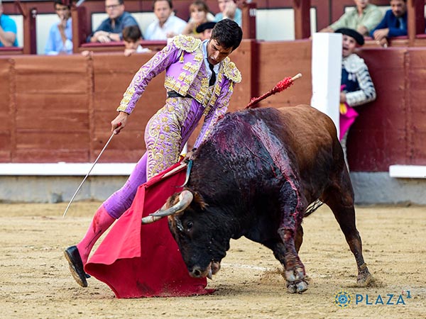 Torero de Madrid