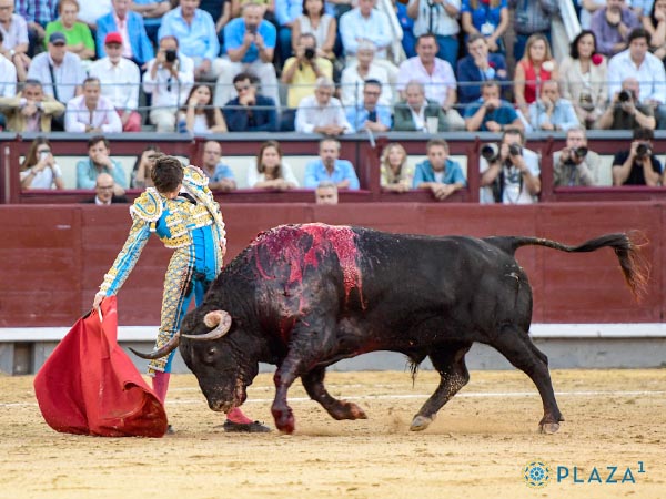 Reposo de maestro