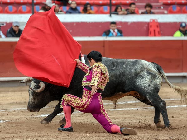 Remate rodilla en tierra