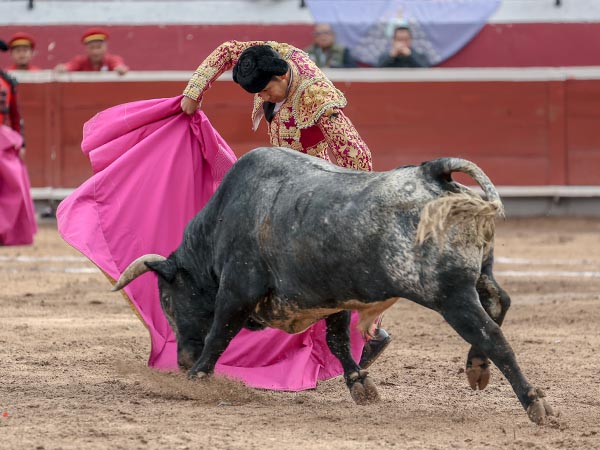 Girando con el toro